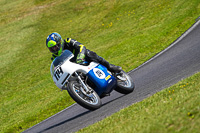 Vintage-motorcycle-club;eventdigitalimages;mallory-park;mallory-park-trackday-photographs;no-limits-trackdays;peter-wileman-photography;trackday-digital-images;trackday-photos;vmcc-festival-1000-bikes-photographs